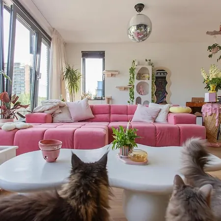 Lollipop, North * أمستردام