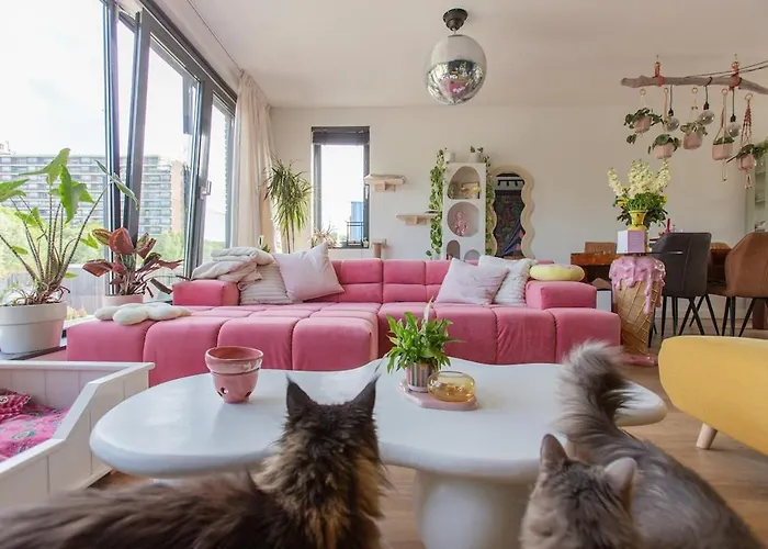 Lollipop, North * アムステルダム