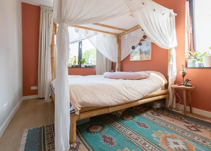 Lollipop, North アムステルダム